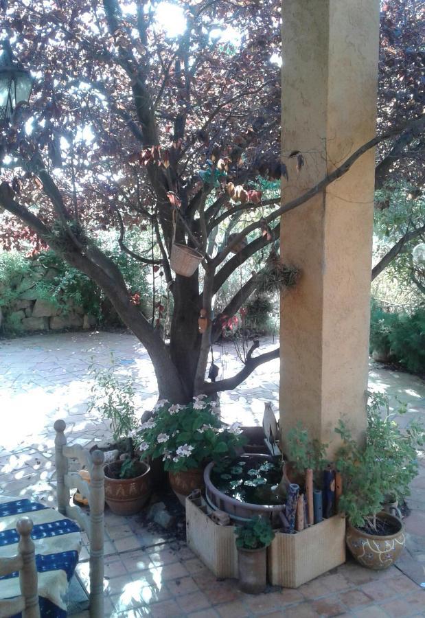 Atelier Pasquer Bed & Breakfast Fitou Exterior photo